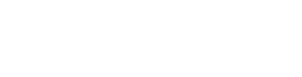 TAM300